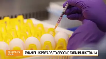 What The Bird Flu Can Tell Us About A Future Pandemic