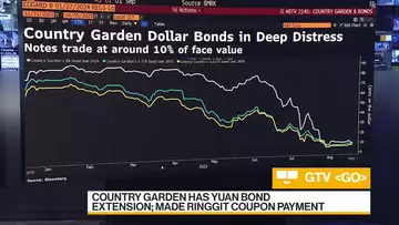 Can Country Garden Avoid Default on Dollar Bonds?