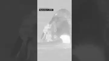 Watch: SpaceX capsule splash down #technology #shorts
