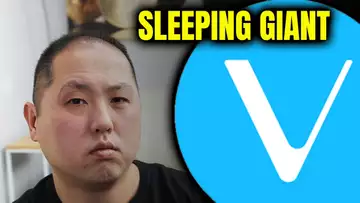 VECHAIN IS A SLEEPING GIANT!!!