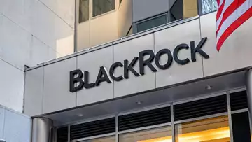 BlackRock's Rieder Questions Deep Recession Talk After Strong Jobs Report