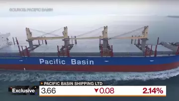 Pacific Basin CEO: Dry Bulk Demand to Moderate