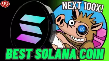 THE NEXT 100X SOLANA MEME COIN!? $SNORTER IS THE NEXT 100X! BEST CRYPTO ICO!
