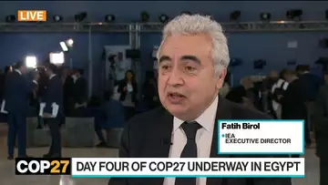 OPEC+ May Need to Rethink Oil Output Cut: IEA's Birol