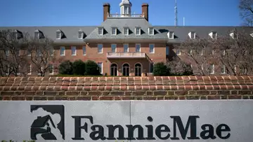 Fannie, Freddie Could IPO This Year