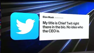 Musk Takes 'Chief Twit' Title at Twitter