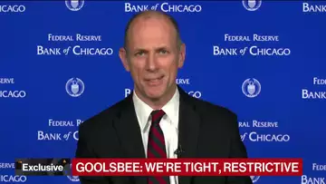 Fed Won’t Overreact to One Month’s Numbers, Says Austan Goolsbee