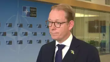 Sweden Says US Firmly Supports NATO Membership