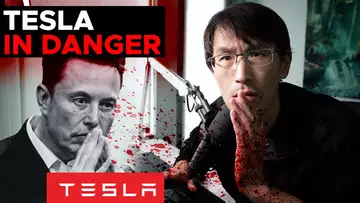 What's going on with TESLA...? Tesla is in danger. (BYD, tariffs)