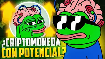 ¡Esta CRIPTOMONEDA hará un 100X! ¡Alerta noticia para los que tengan Pepe!