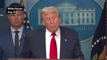 Trump Could Let Nvidia Sell Scaled-Down Blackwell Chip to China