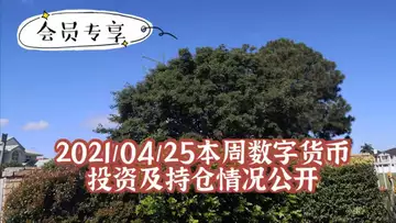2021/04/25本周数字货币投资及持仓情况公开～会员专享140