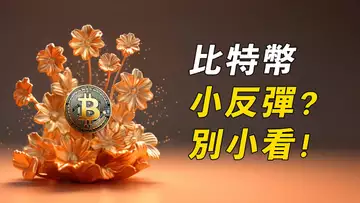 BTC小反彈！跌破收回，就此反轉？給你看訂單墻！
