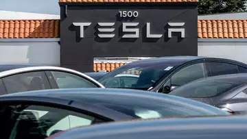 Tesla Bull Wants Musk to Step Back From Doge