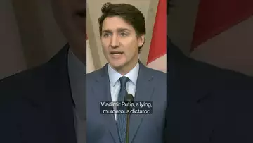 Canada's Trudeau says the US has started a trade war #politics #shorts