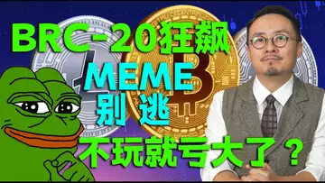 BRC-20 2023年的盛夏“火锅”,细数非玩不可比特币NFT头部项目