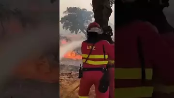 Spain, Portugal Wildfires Spread as Extreme Conditions Linger #weather