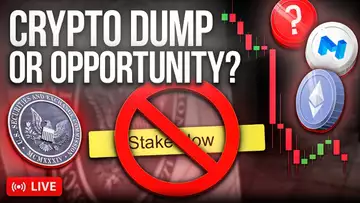 Is this DUMP A WARNING Or An OPPORTUNITY?
