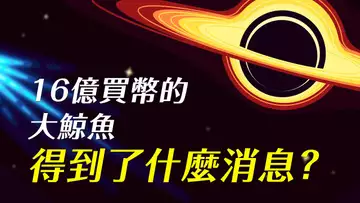 比特幣55000穩不穩?!16億市價買幣的大鯨魚,得到了什麼消息?SHIB翻三倍,下一個暴漲的是?