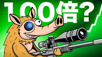 新しいミームコインSnorterがすごい！トレーディングBotでシェアを狙う！！