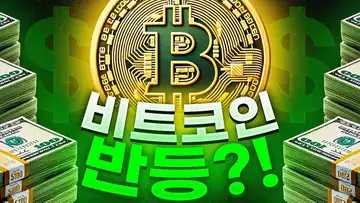 비트코인의 반등?! 그리고 BTC 불 토큰?!
