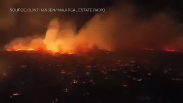 Wildfires in Hawaii Force People Into the Ocean