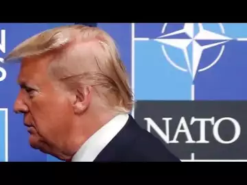 Trump Was Right on NATO Spending, Rutte Says