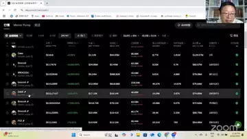 Robert Lee's Zoom Meeting