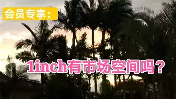 1inch有市场空间吗？～会员专享105