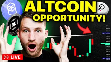 BTC's Rejection Could Be GREAT For Altcoins! (THE NEXT BIG TRADES)