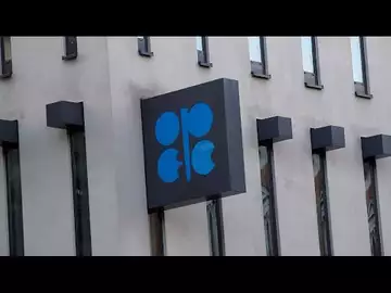 OPEC+ Cutting 100,000 Barrels a Day Does Nothing: Morse