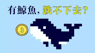 出我意料!一國人在拋售,幣價不跌反漲,四萬強支撐,說明了什麼?新的一周,現貨、合約交易計劃梳理!
