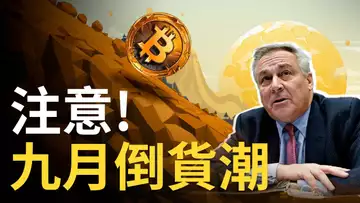 比特幣九月倒貨潮︱FTX破產30億分批倒貨︱比特幣小熊轉大熊市 ?