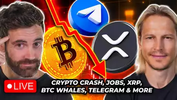 Crypto News: Bitcoin Whales, Crypto Liquidations, XRP & More!