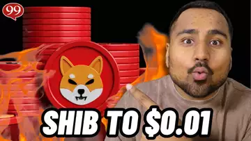 SHIBA INU TO $0.01! SHIB BURN RATES SKYROCKET! BULLISH $SHIB NEWS!