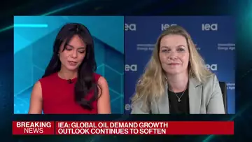 See Some Room for OPEC+ to Up Oil Production in 2H24, IEA's Bosoni Says