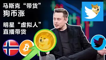 4.6 监管再袭加密圈?马斯克买股狗狗币上涨;联合国环境署亲善大使为加密正名;挪威哈希率占近1%;明星“虚拟人”直播带货