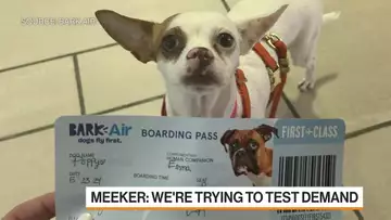 Bark Air's Expanding Paw-Print