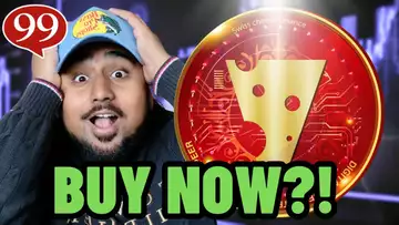 WHY IS $SWCH PUMPING?! SHOULD YOU BUY SWISSCHEESE COIN?!
