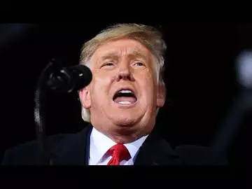 Trump Found Liable for Sexually Assaulting Carroll