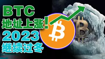 BTC持币地址猛涨,快变盘了!2023继续寒冬?V神也抢帕劳数字身份证?Meta 被罚款4亿;苹果告别2万亿美元市值