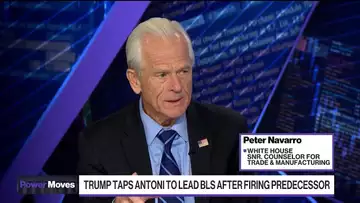 White House's Navarro on CPI, Tariffs and Labor Data