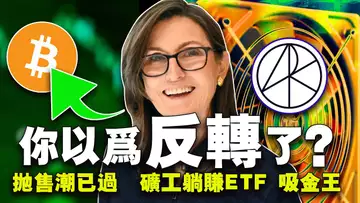 行情反转了? 矿工躺赚;抛售潮已过?ETF 吸金王;美联储本周公布利率决策;PayPal 拥抱 AI 20241029