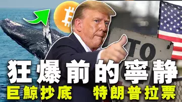 比特币上攻7疲软;迈克尔·赛勒疯狂的比特币;SOL 现货 ETF 成预期 ?特朗普拉加密选票出“奇招”;马斯克推出 AI 超级算力(20240527)