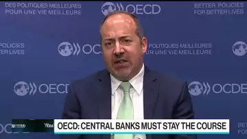 OECD Not Seeing Systemic Risk, Chief Economist Says