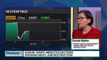 Stocks May Enter Correction If Fed Cuts 50 Bps: Sokn