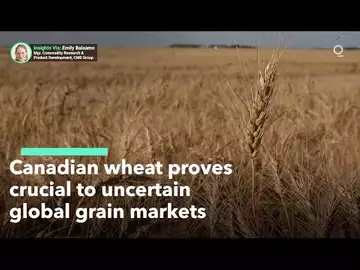 Canada’s Wheat Producers Fill Shortfall in World Supply