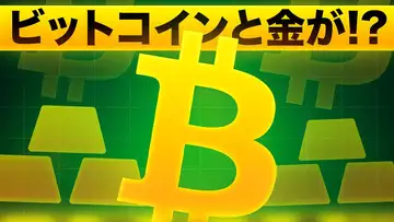 ビットコインもゴールドも最高値更新！法定通貨の価値下落が進む！？