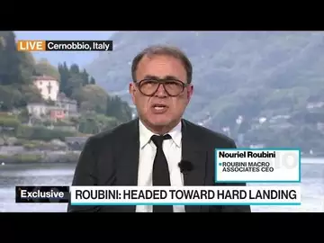 Nouriel Roubini Warns of Crashes, High Rate 'Megathreat'