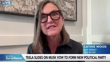 Musk Is Less Distracted Since Leaving DOGE, Wood Says